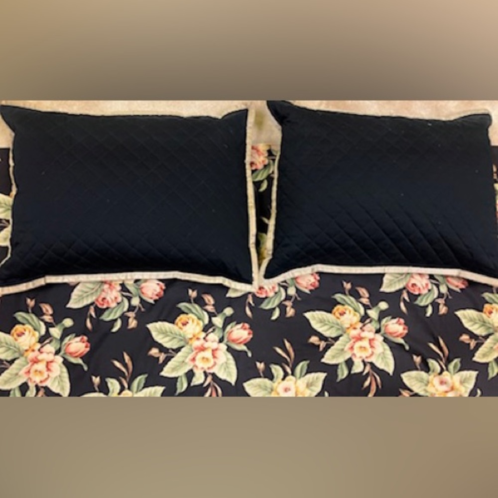 Ralph Lauren Queen duvet set